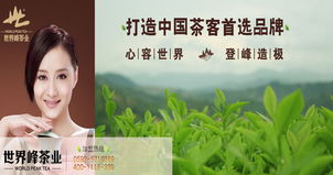 多元化經營，打造茶產業全鏈條——公司業務介紹