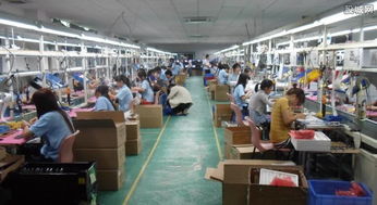 農(nóng)村創(chuàng)業(yè)新路徑 農(nóng)副產(chǎn)品開發(fā)與技術服務的雙輪驅(qū)動